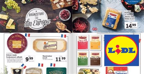 lidl costinesti|Lidl România